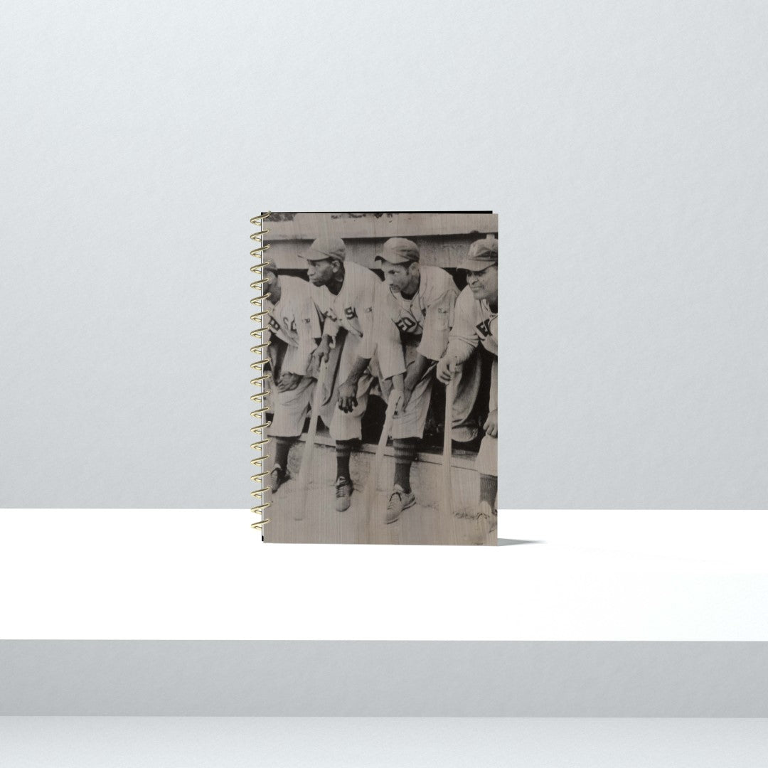 Memphis Red Sox Dugout