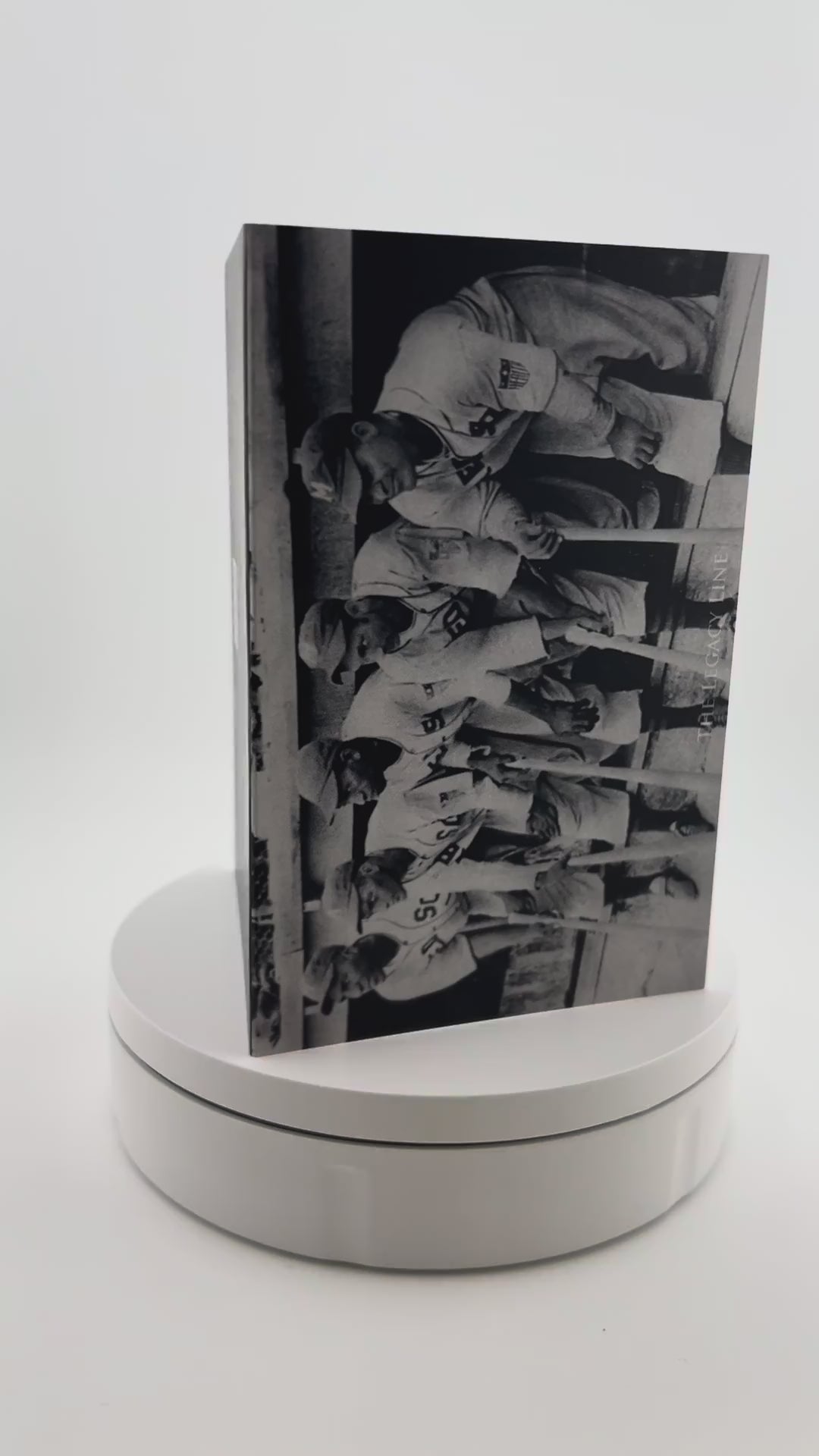 Memphis Red Sox Dugout-thumbmail-2